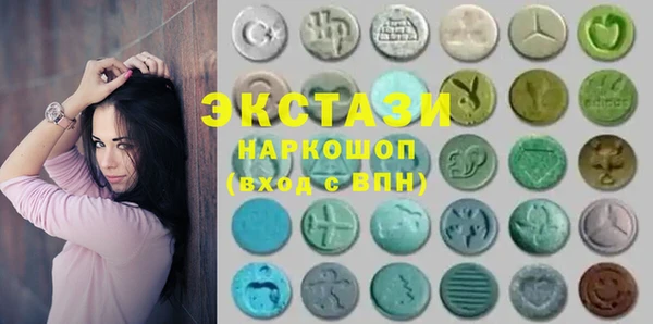 хмурый Арсеньев