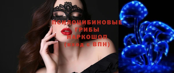хмурый Арсеньев