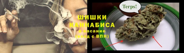 хмурый Арсеньев
