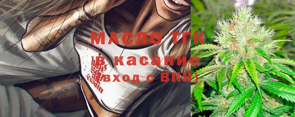 хмурый Арсеньев