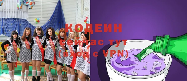 хмурый Арсеньев