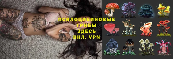 винт Армянск